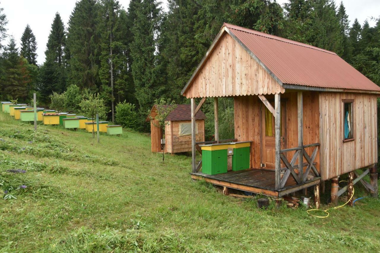 Зубровиця Bukovinka Exterior photo